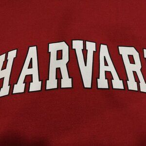 Harvard Hoodie XL  Front Kango Pocket  Super Comfortable